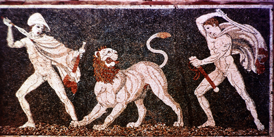 История